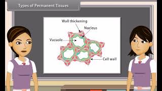 Standard 9 Science Chapter 6  Tissues  Quick revision [upl. by Rolfe]