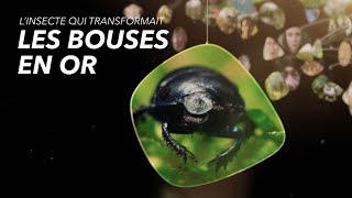 L’insecte qui transformait les bouses en or [upl. by Wystand628]