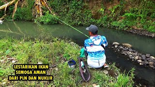 Mancing ikan untuk di lepas ke penggalian danau TABA [upl. by Molini]