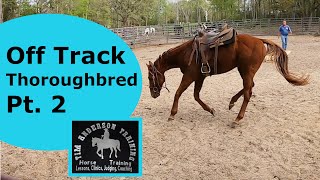 Off Track Thoroughbred Evaluation Ride Bit his owner Part 2 [upl. by Hpotsirhc]