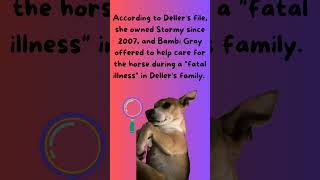 Caylen Dellers Stolen Horse [upl. by Nehte]