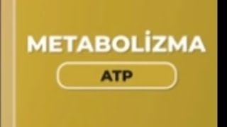 Metabolizma ATP chackpoint [upl. by Nelloc457]