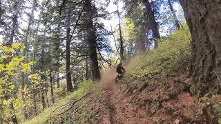 PINEMOUNT LOOP OHV  SINGLE TRACK [upl. by Eneliak]