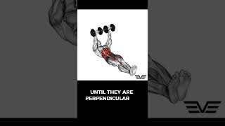 Dumbbell Flor Wipers dumbbellfloorwipers floorwipers abs absexercise absworkout [upl. by Leahcimnaj]