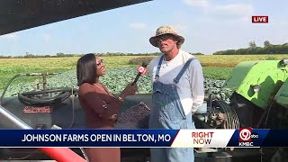 Fall in full swing at Johnson Farms pumpkin patch in Belton [upl. by Imogen]