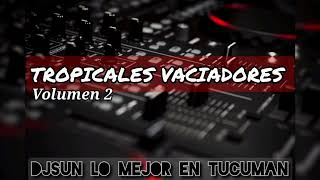 TROPICALES VACIADORES  Volumen 2  DjSUN [upl. by Mosera]