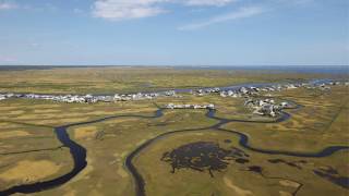 What makes a wetland a wetland [upl. by Cira622]