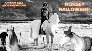 HORSEY HALLOWEEN Contains mild lighthearted swearing from the horses mouth of course [upl. by Arymat]