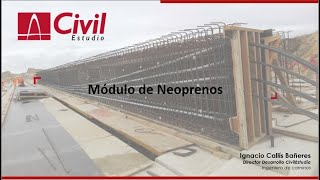 Alcance y uso del módulo Neopreno de Civil eStudio [upl. by Alick994]