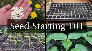 How To Start Vegetable Seeds  The Definitive Guide For Beginners [upl. by Anjanette]