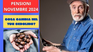 PENSIONI NOVEMBRE 2024 COSA CAMBIA NEL TUO CEDOLINO [upl. by Doralin]