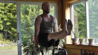 Upper Body Workout with the Lebert Equalizer Parallel Bars [upl. by Voe164]