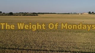 The Weight Of Mondays LYRICS [upl. by Eslek491]