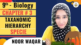 Taxonomic Hierarchy  Chapter 3 Biodiversity  9th Class Biology [upl. by Bertram]