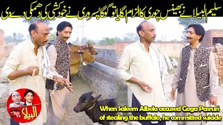 When Saleem Albela accused Goga Pasruri of stealing the buffalo he committed suicide [upl. by Everara]