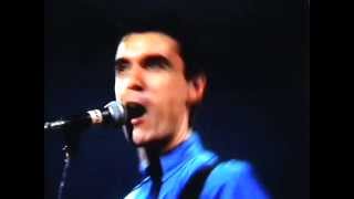 Talking Heads live  Cities with Adrian Belew on guitar [upl. by Carmencita420]