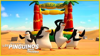 Los pingüinos nunca se asustan 💪🏼  DreamWorks Madagascar en Español Latino [upl. by Zipah]