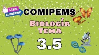 COMIPEMS Biología Tema 35  Alimentación [upl. by Adnocahs860]