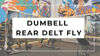 DUMBELL REAR DELT FLY [upl. by Kendall741]