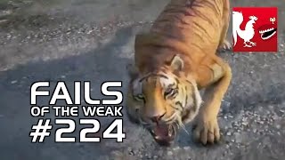 Fails of the Weak Ep 224  Rooster Teeth [upl. by Rowan974]