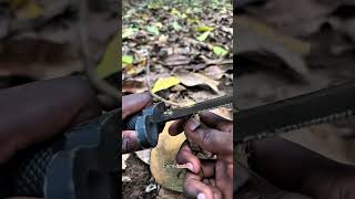 Survival bushcraft skills 🫡 shortsvideo bushcraft lifehack [upl. by Humberto]