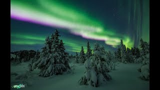 Northern Lights Livestream  Fairbanks Alaska  10292022 [upl. by Bern]