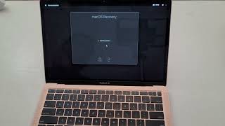 MacBook M1 ALL PASSWORDS LOST How to recover your Computer and reset passwords [upl. by Akselav547]