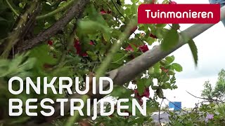 Onkruid bestrijden in de tuin  Tuinmanieren [upl. by Fennie]