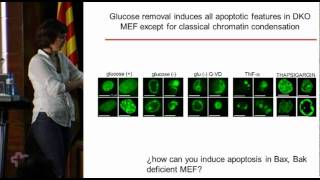 Killing cancer cells by targeting glucose metabolism [upl. by Hedva214]