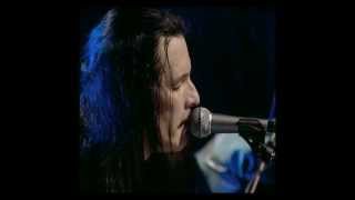 Willy DeVille  Heaven Stood Still Live [upl. by Niryt538]