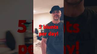 5 blunts per day really weed smoke joints [upl. by Ailev263]