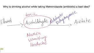 Why is drinking alcohol while taking Metronidazole an antibiotic a bad idea [upl. by Mandle]