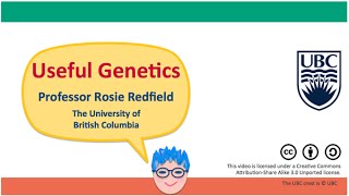 2H  Somatic amp germline mutations [upl. by Jania]