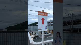 夏休みの自由研究的な感じ『塗り替えた横断歩道橋に再び錆が浮き始めるまで何年かかる？塗替えサイクルは何年？』と観察していく 歩道橋 横断歩道橋 塗装塗替え [upl. by Yand]