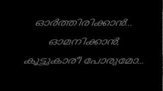 Kanninnullil Nee Kanmani Video Lyrics [upl. by Cohette]