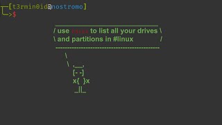 use fdisk to list all drives and partitions in linux [upl. by Kazim]