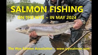 Wye Salmon in May [upl. by Hendon766]