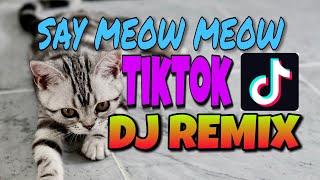 SAY MEOW MEOW TIKTOK DJ REMIX LS BACKGROUND MUSIC No Copyright Music [upl. by Marcie]