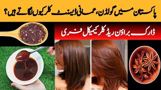 DARK BROWN HAIR DYE AT HOME HAIR DYE IN 10 MIN 100ORGANIC HAIR DYE AMAZING RESULT [upl. by Cannon455]