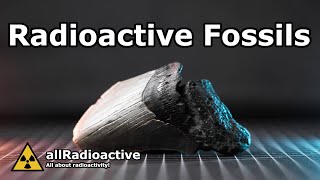 Uranium in Fossils Testing My Radioactive Megalodon Tooth [upl. by Fenella]