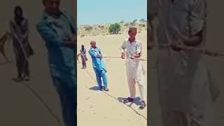 munje thar Jo Hal je pochde viralvideo youtubeshorts tharlover [upl. by Ennaer]