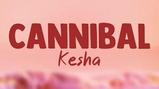 Cannibal  Kesha Lyrics Video ❣ [upl. by Phares]