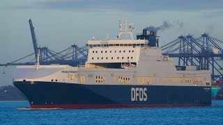 MAGNOLIA SEAWAYS  RoRo cargo ship  Port of Felixstowe 4124 [upl. by Catarina845]