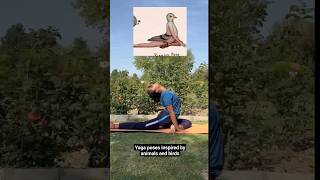 part 1yoga poses inspired by animals and birds🧘‍♀️🧘‍♀️ [upl. by Nosreve767]