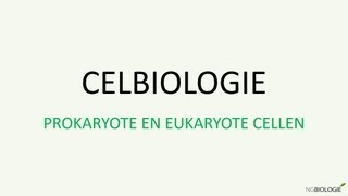 Celbiologie  Prokaryote en eukaryote cellen [upl. by Titania]