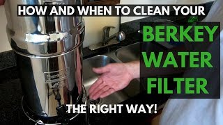 How To Clean Berkey Water Filters THE RIGHT WAY [upl. by Odlavso265]