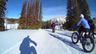 Whats Up with Fat Bikes [upl. by Glyn]