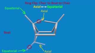 Different Conformations of Cyclohexane [upl. by Vacla]