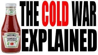 Cold War Explained World History Review [upl. by Pooi824]