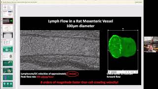 Another Amazing Interview with Pr Jimmy Moore New Research on Lymph Vessel Pumping amp Lymph Nodes [upl. by Olag714]